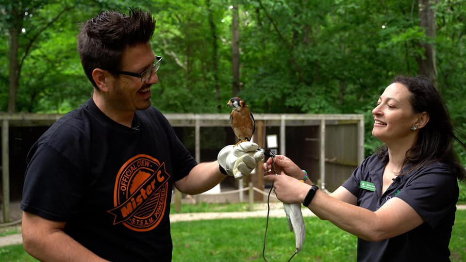 Mister C holding Raptor at Glenn Helen Raptor Center